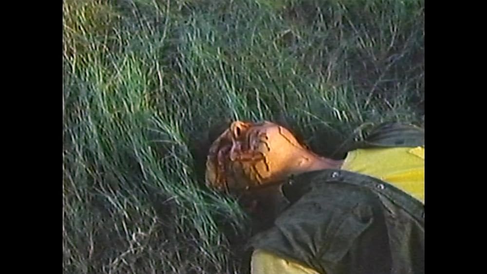 異形未知生命体 エボミネーションの画像