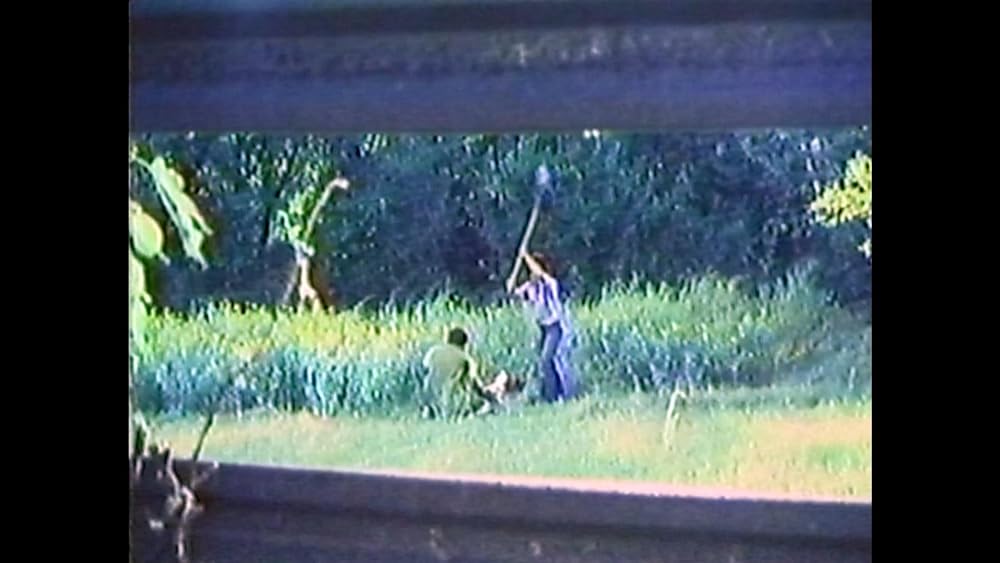 異形未知生命体 エボミネーションの画像