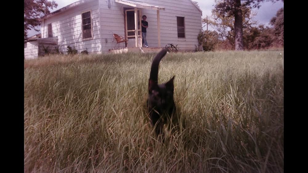 異形未知生命体 エボミネーションの画像