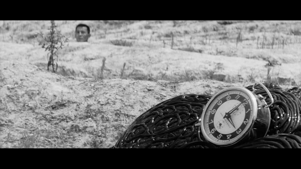 荒野のダッチワイフの画像