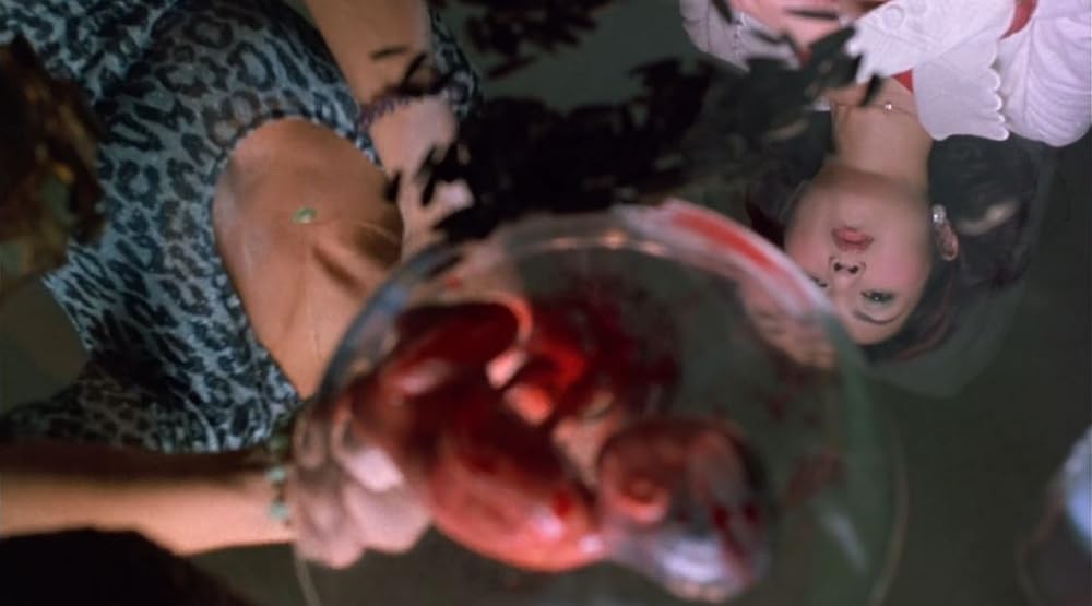 美しい夜、残酷な朝の画像