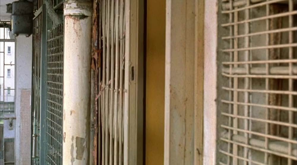 美しい夜、残酷な朝の画像