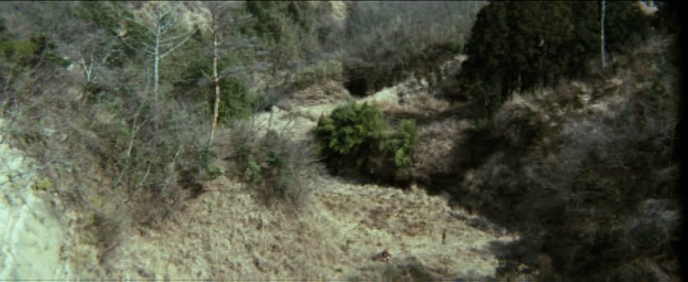 女地獄 森は濡れたの画像