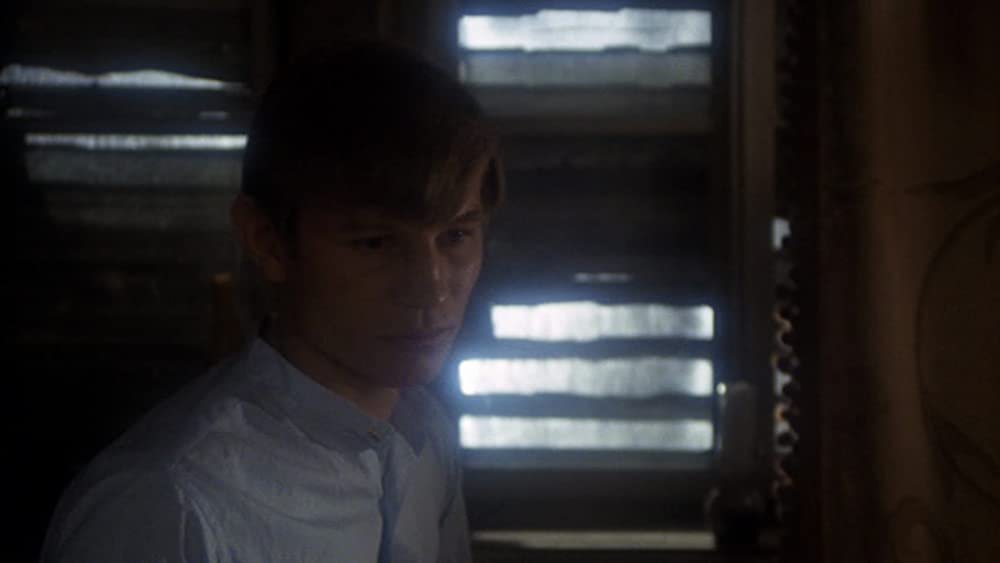 「キャバレー」マイケル・ヨークの画像