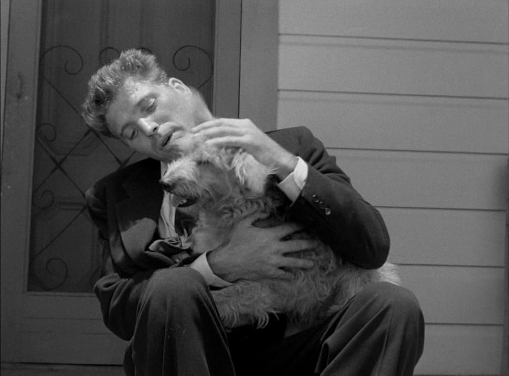 裏切りの街角の画像