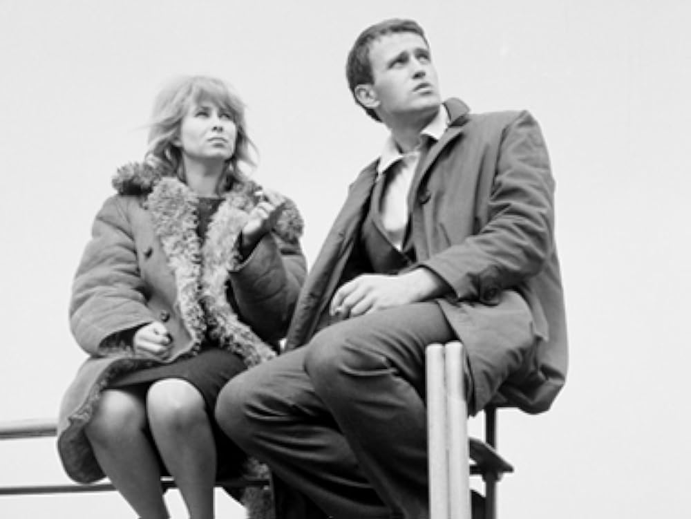 バリエラの画像