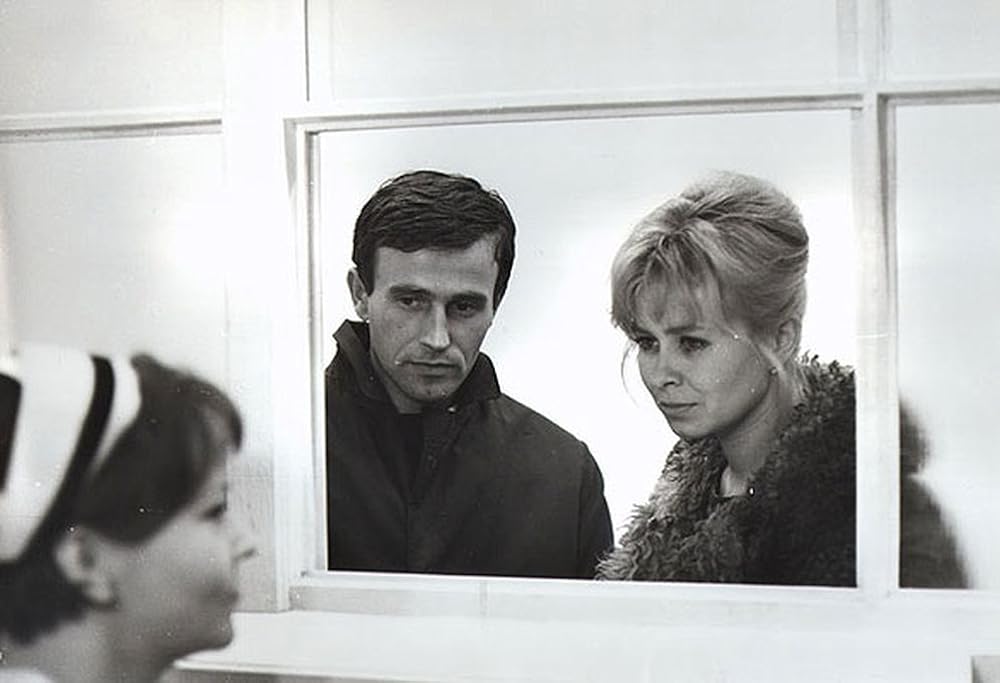 バリエラの画像