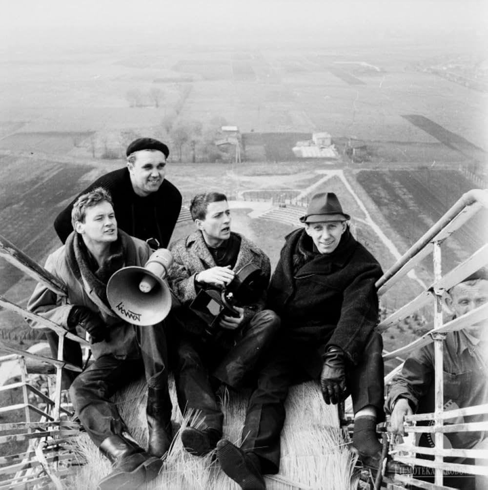 バリエラの画像