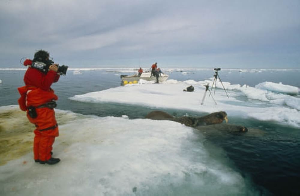 北極のナヌーの画像