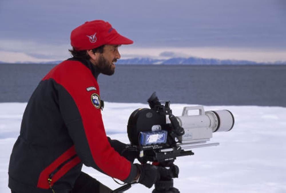 北極のナヌーの画像
