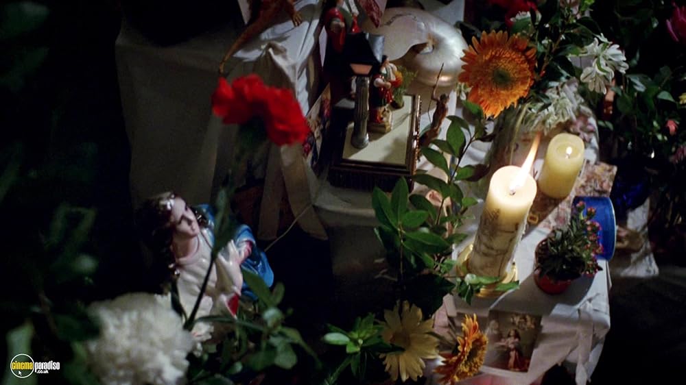 欲望の法則の画像