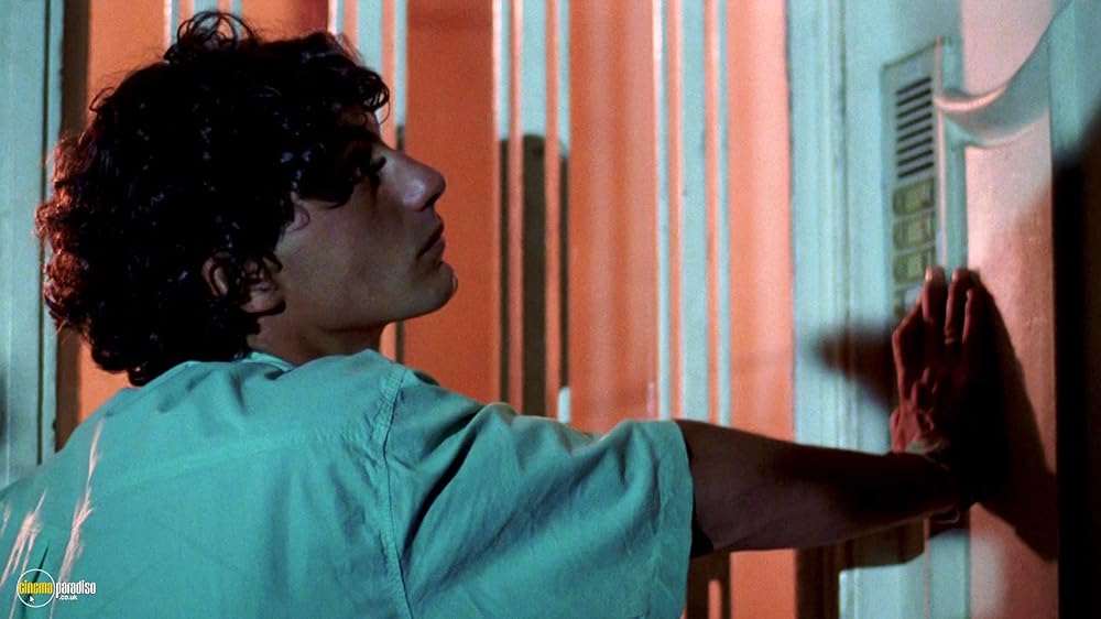 欲望の法則の画像