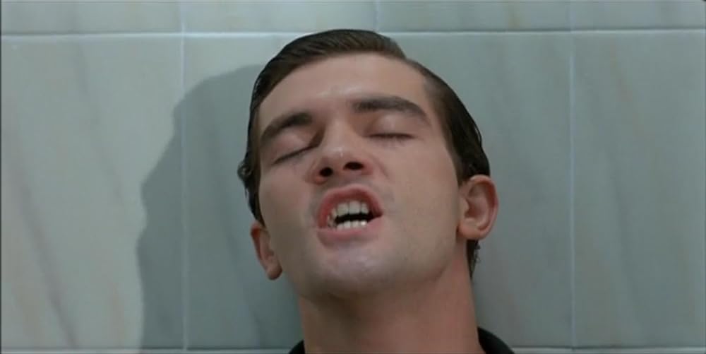 欲望の法則の画像