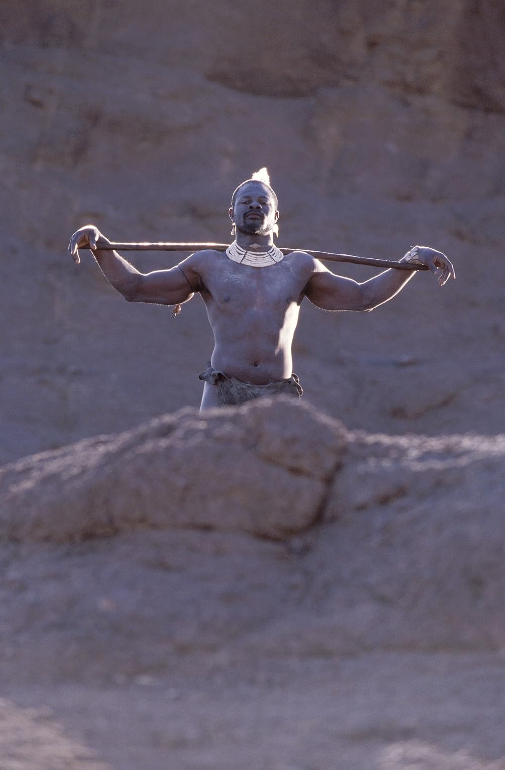 サハラに舞う羽根の画像