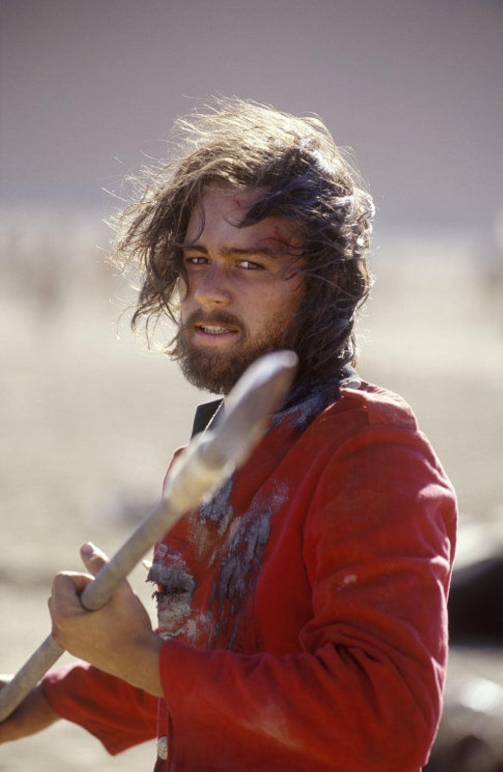 サハラに舞う羽根の画像