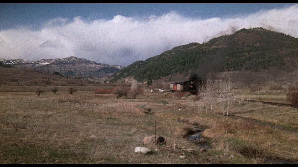 ホワイト・バッファローの画像