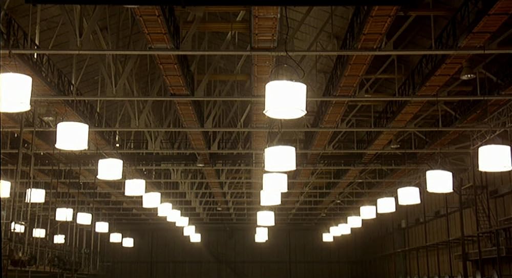 インテルビスタの画像