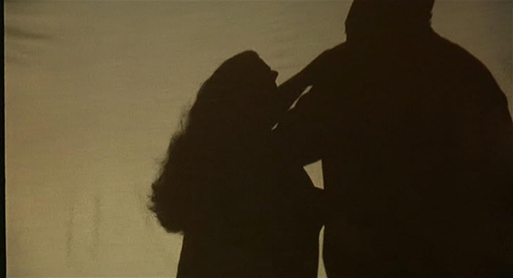 インテルビスタの画像