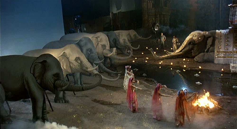 インテルビスタの画像