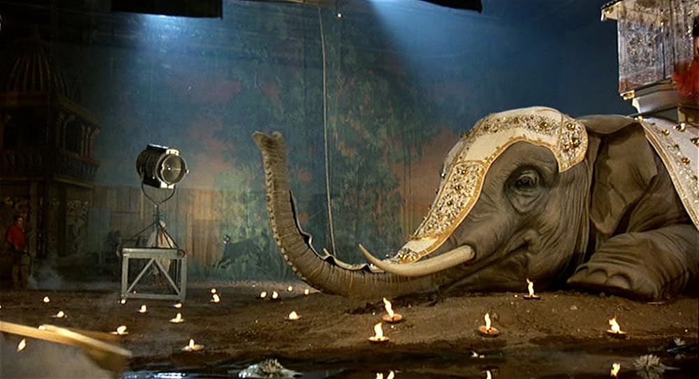 インテルビスタの画像