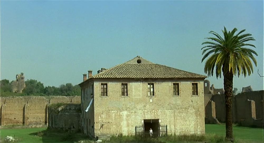 インテルビスタの画像