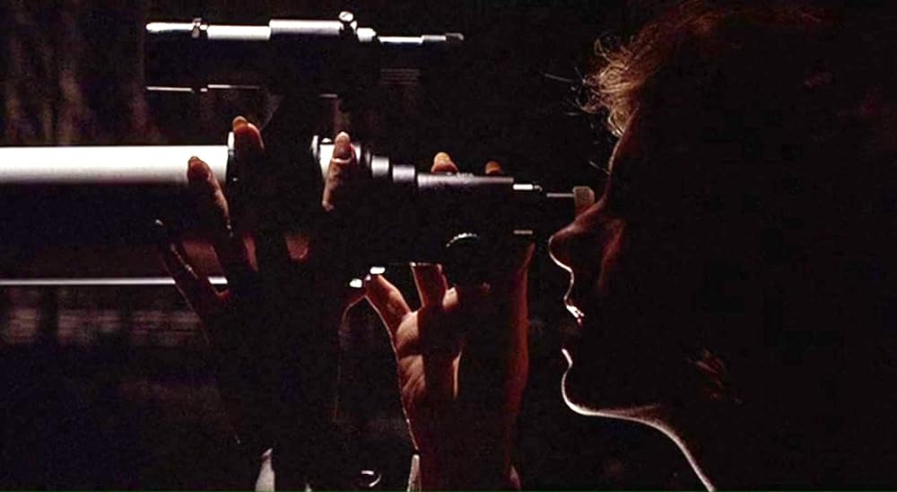 「エミリーの窓」エリザベス・アシュレイの画像