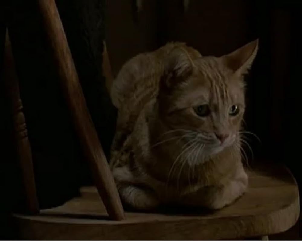 「エミリーの窓」の画像