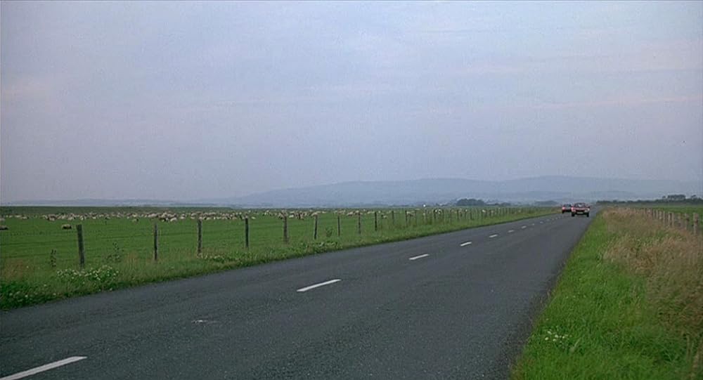 バタフライ・キスの画像