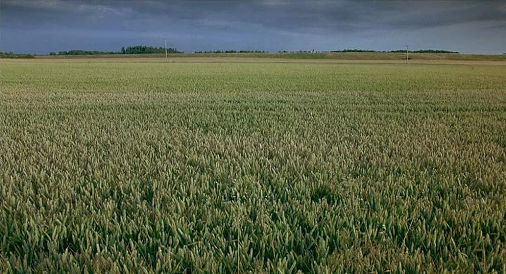 バタフライ・キスの画像