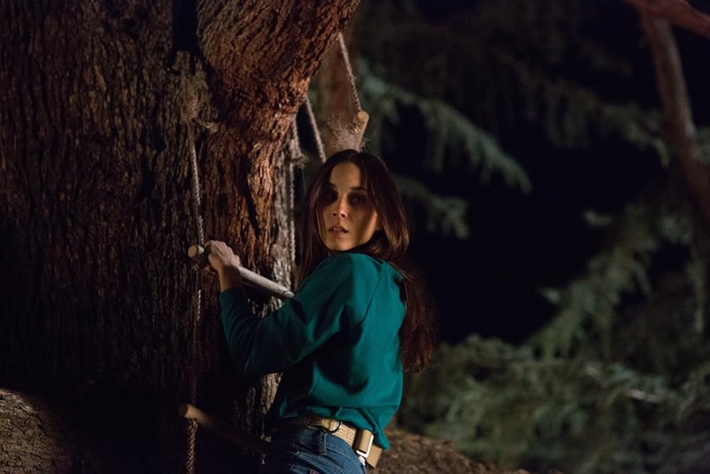 グリーンデイズの画像