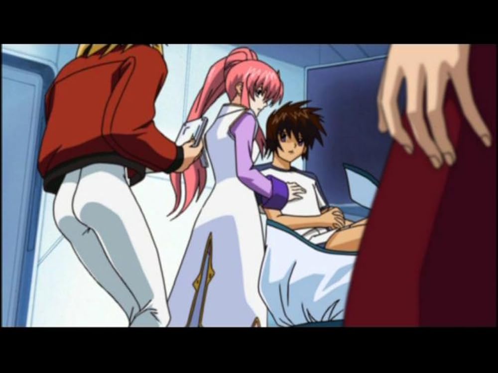 機動戦士ガンダムSEED スペシャルエディション完結編 鳴動の宇宙の画像