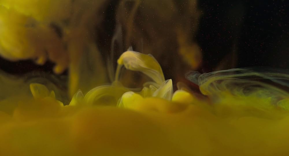 Flux Gourmet（原題）の画像