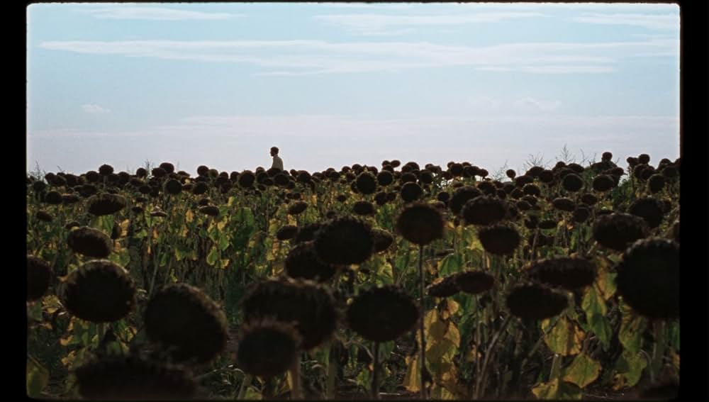 墓泥棒と失われた女神の画像