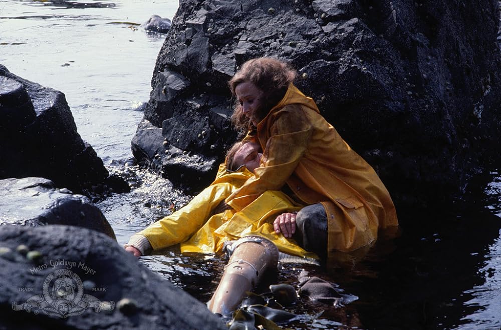 「針の眼」クリストファー・カザノフ & ケイト・ネリガンの画像