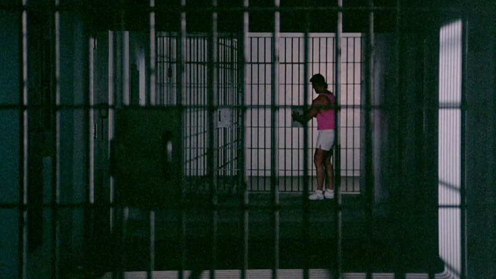 悪魔の毒々ハイスクール2 ヒューマノイド・パニックの画像