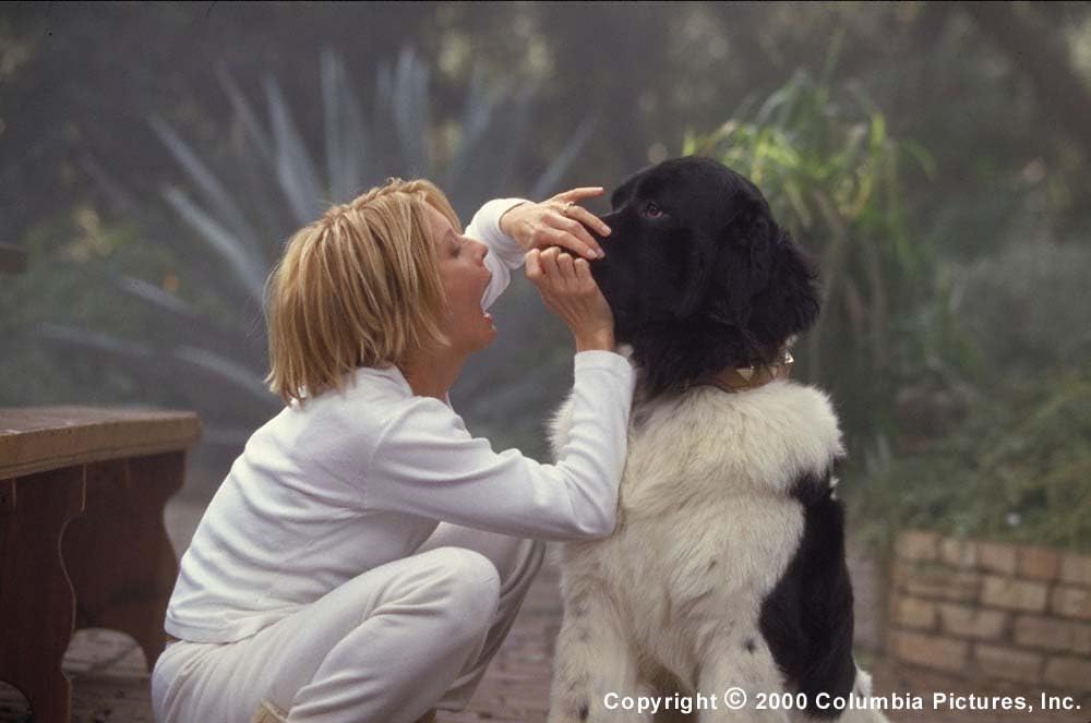 「電話で抱きしめて」メグ・ライアンの画像