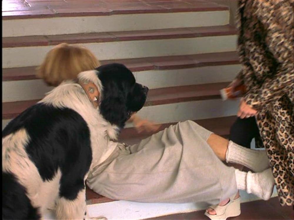 「電話で抱きしめて」メグ・ライアン & リサ・クドローの画像