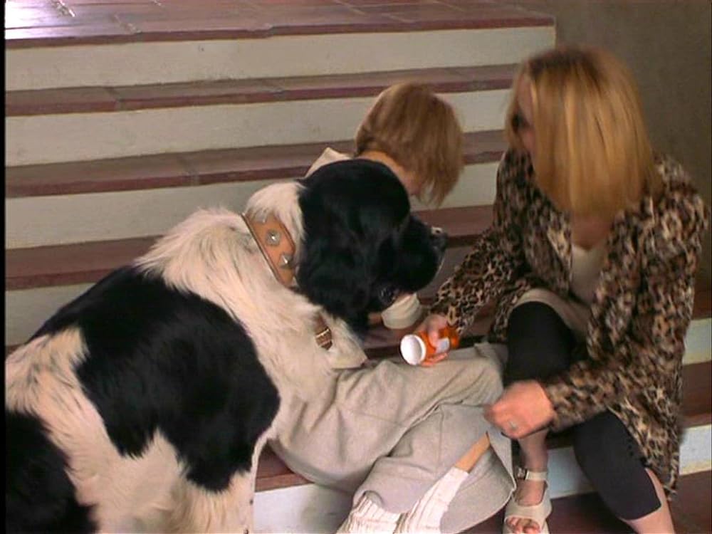 「電話で抱きしめて」メグ・ライアン & リサ・クドローの画像