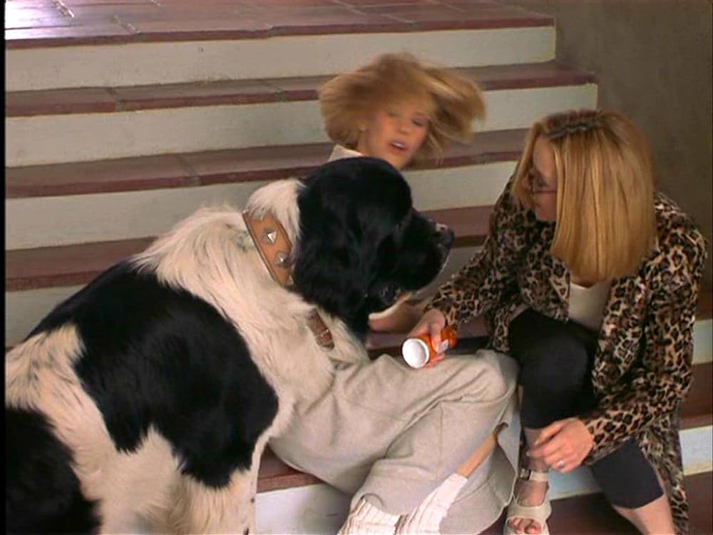 「電話で抱きしめて」メグ・ライアン & リサ・クドローの画像