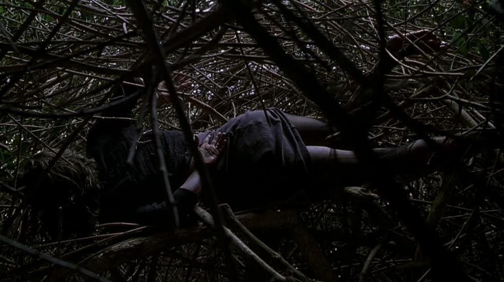 ランタナの画像