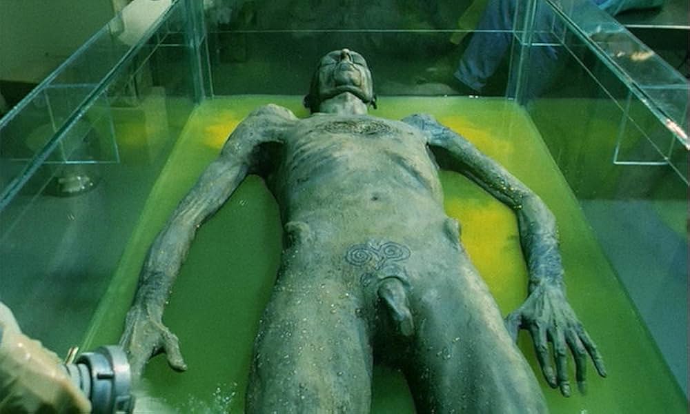 ワルシャワの柔肌（はだ）の画像