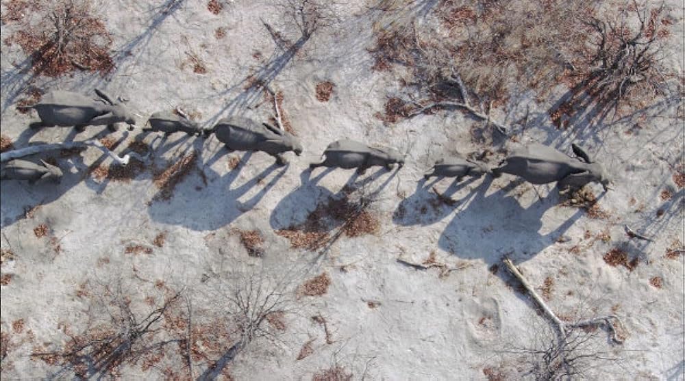 「アース」の画像