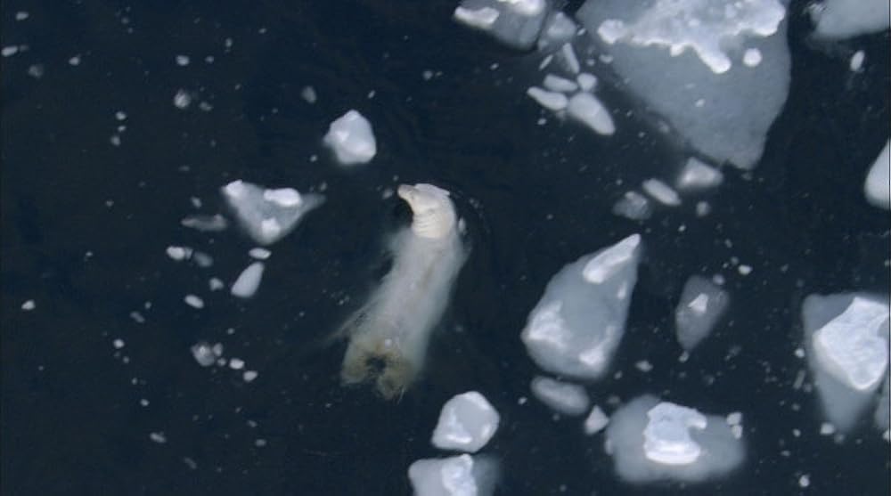 「アース」の画像