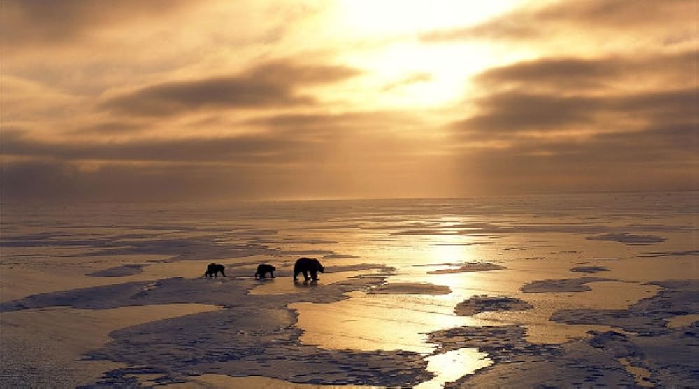 「アース」の画像