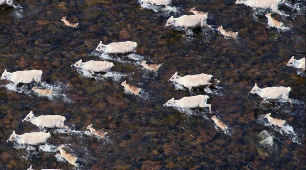 「アース」の画像