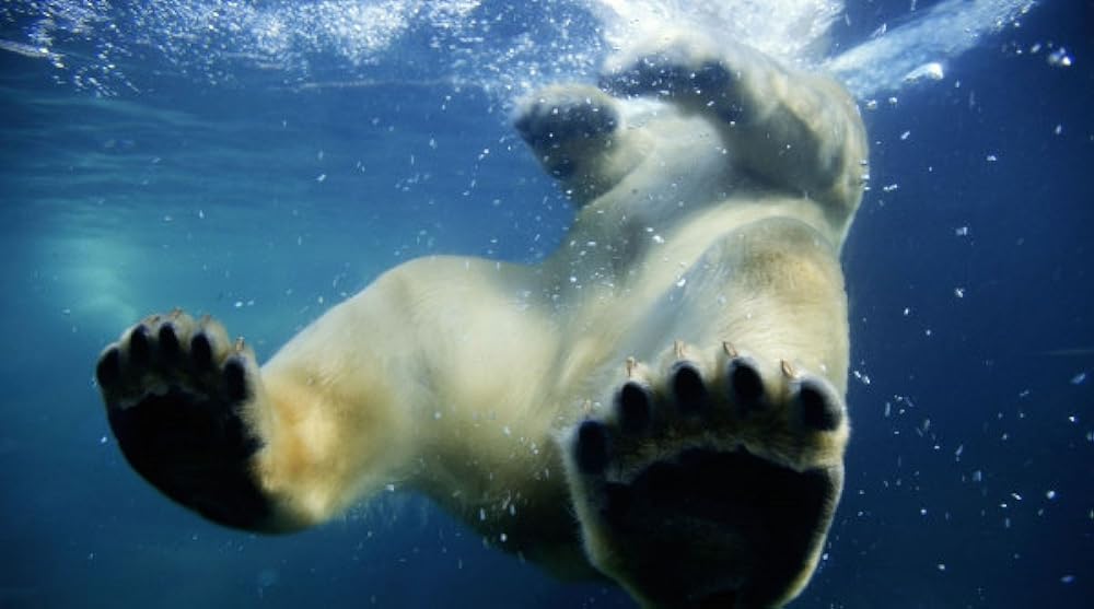 「アース」の画像