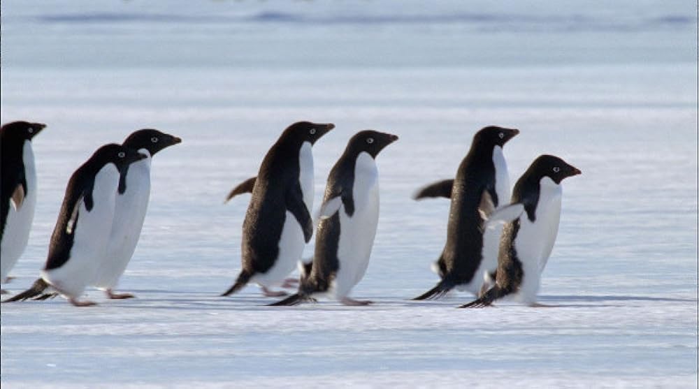 「アース」の画像