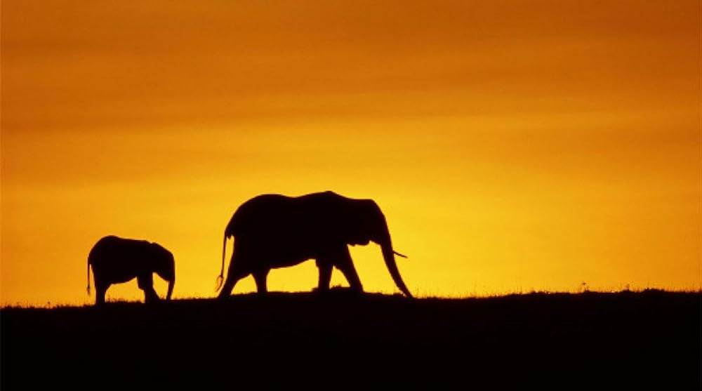 「アース」の画像