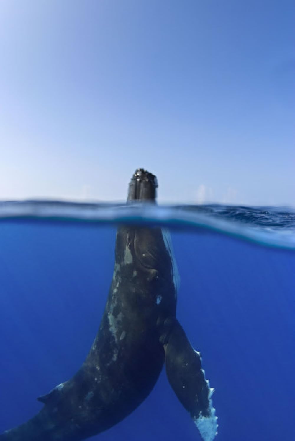 「アース」の画像