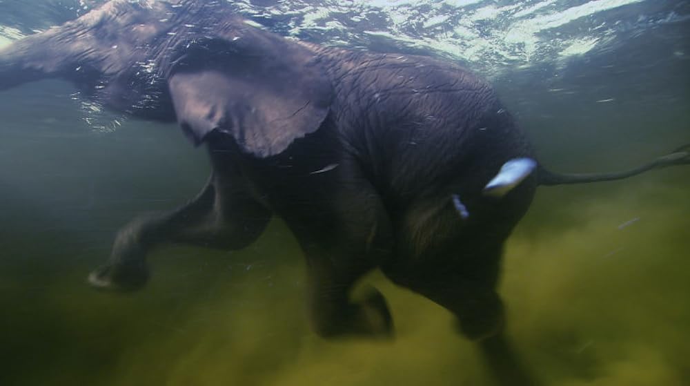 「アース」の画像
